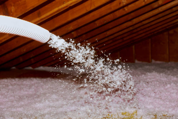 Best Types of Insulation in Choctaw Lake, OH