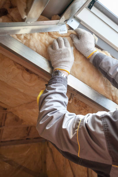 Best Types of Insulation in Choctaw Lake, OH